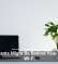 Houseplants Might Be Behind Your Sluggish Wi-Fi